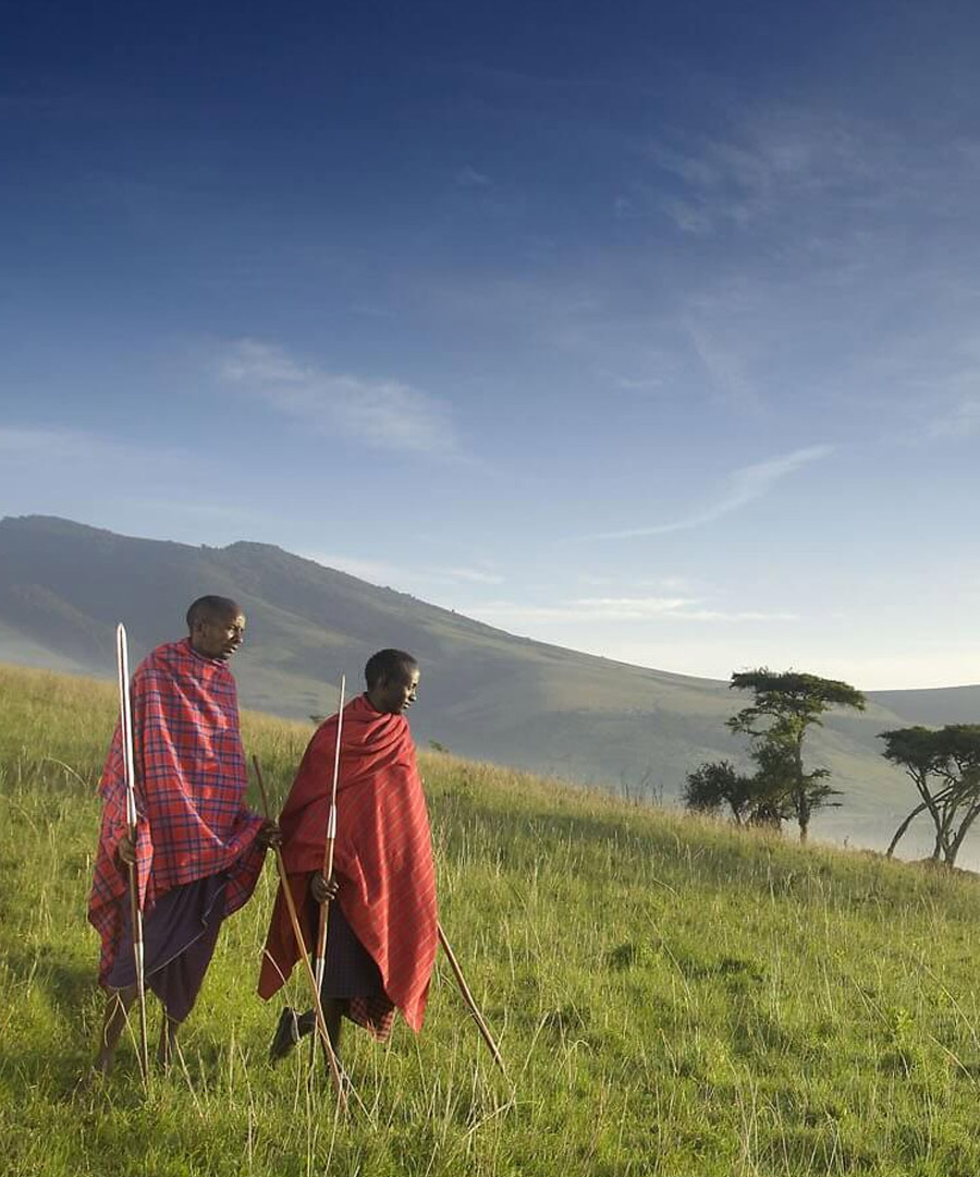 Ngorongoro