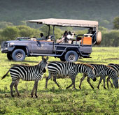 Game drive
