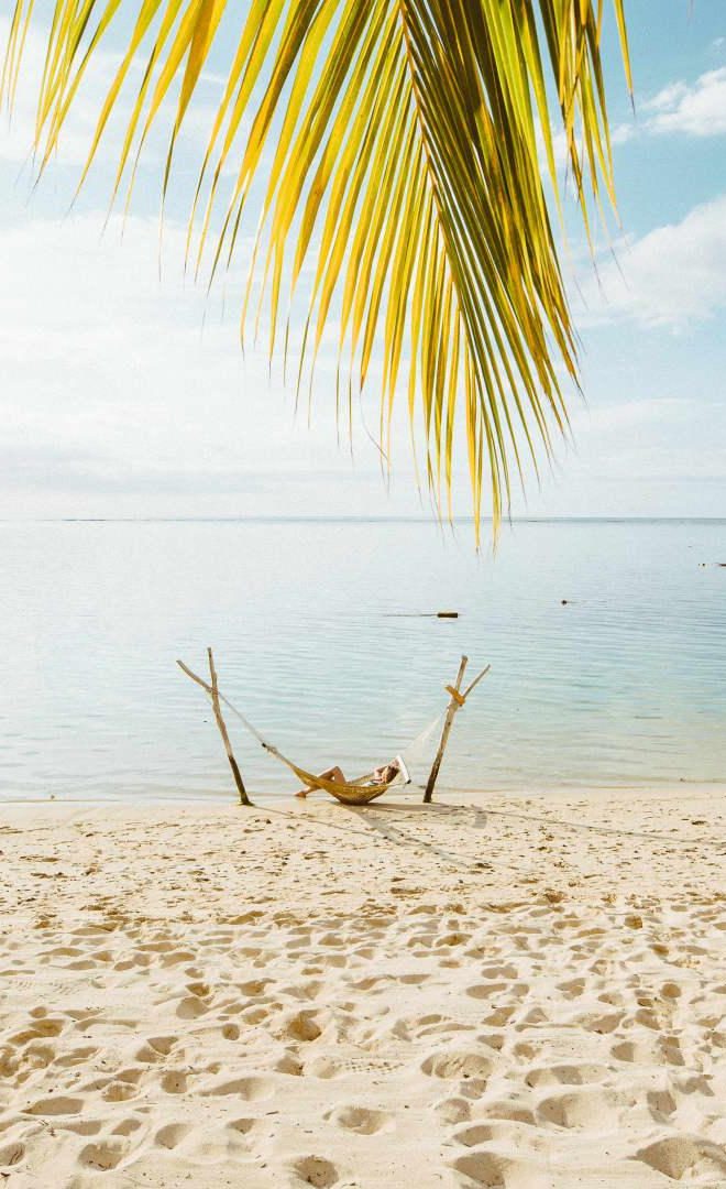 Beach & Bush Safaris