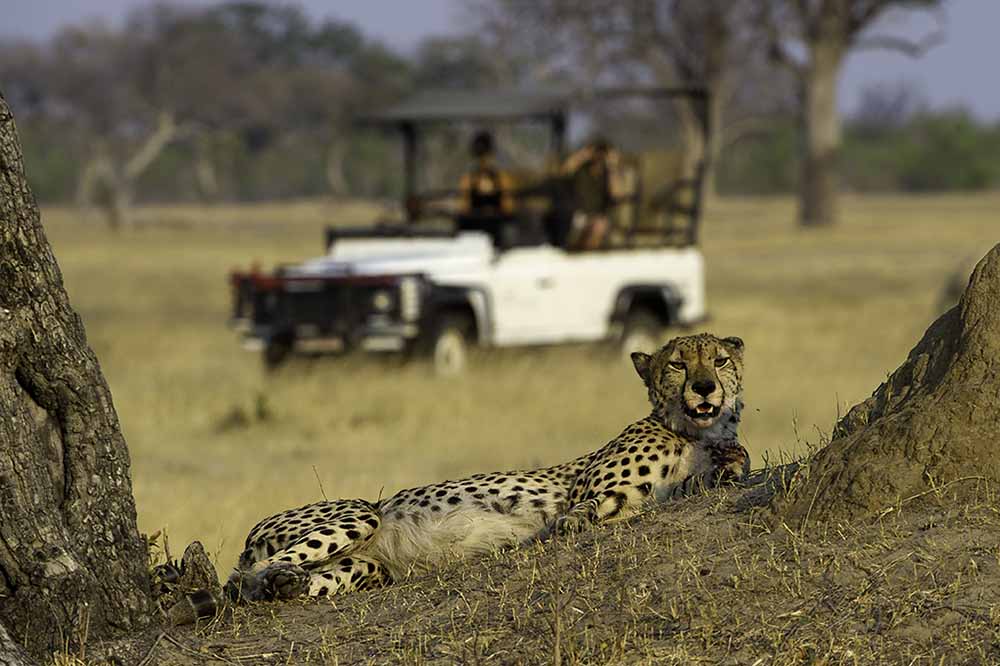 Savanna Private Game Reserve