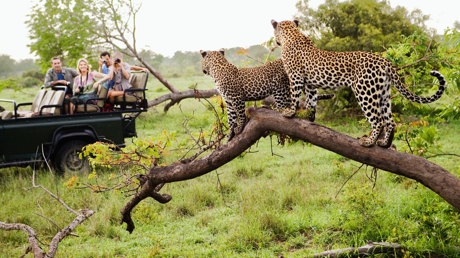 Ulusaba