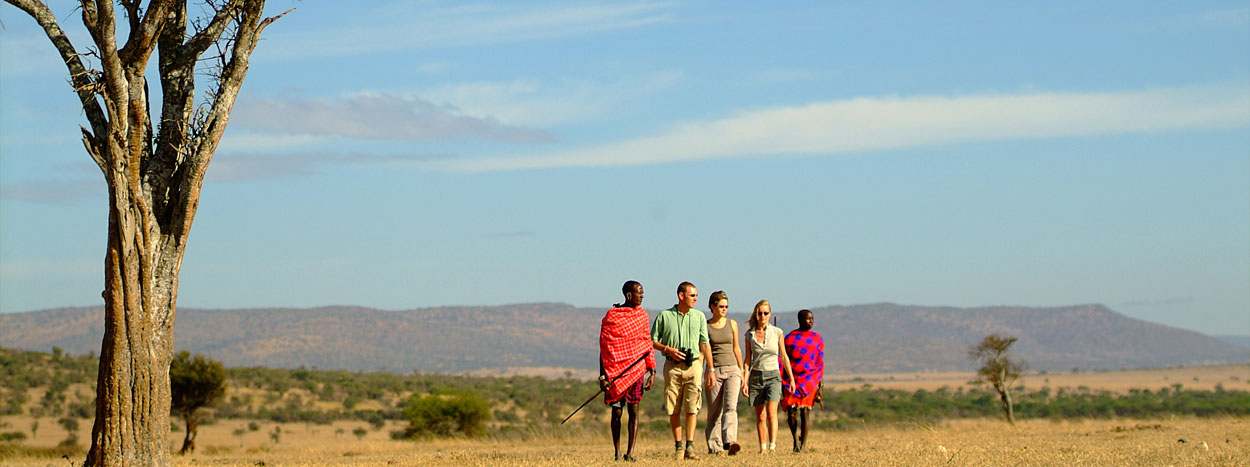 Walking safari